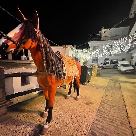 Apartamento Siete Lagunas Daire Trevélez Dış mekan fotoğraf