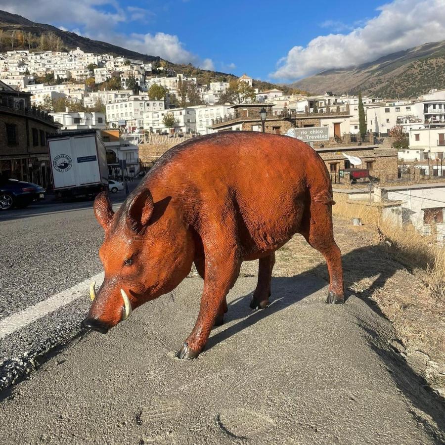 Apartamento Siete Lagunas Daire Trevélez Dış mekan fotoğraf