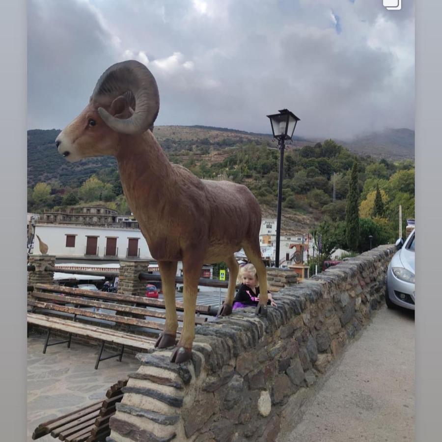 Apartamento Siete Lagunas Daire Trevélez Dış mekan fotoğraf